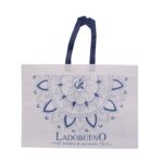 Bolsas para helado con asa o riñón